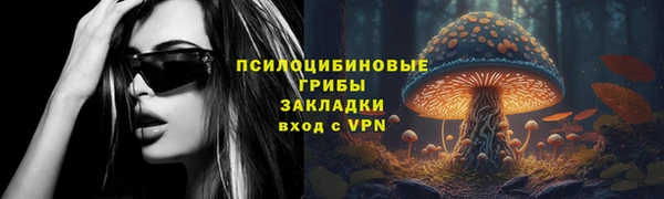 гидра Балахна