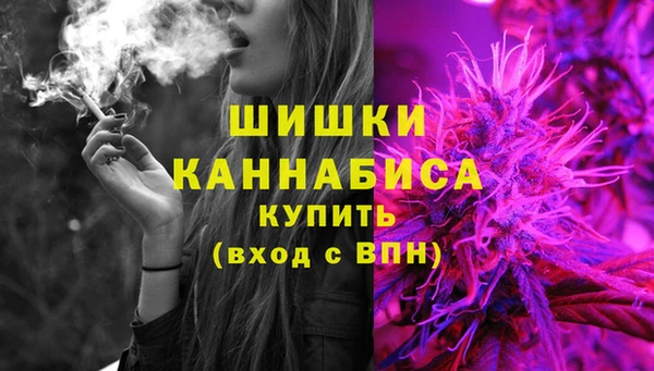 гидра Балахна