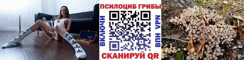 Галлюциногенные грибы мицелий  kraken tor  Котельниково 