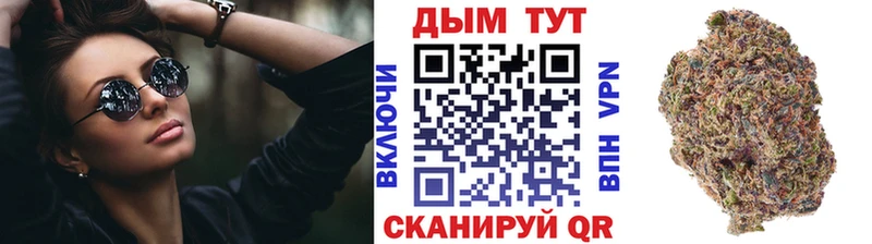 Бошки Шишки план  Котельниково 